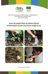 guía de muestreo de nematodos fitoparásitos en cultivos agrícolas