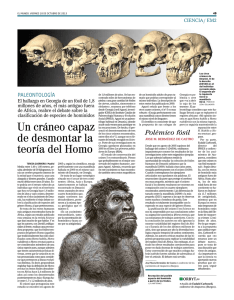 Un cráneo capaz de desmontar la teoría del Homo
