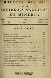 BOLETIN MINERO SOCIEDAD NACIONAL DE MINERíA