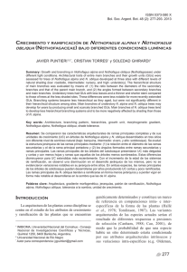 J. Puntieri et al. - Patrones de ramificación en Nothofagus