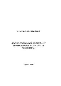 PLAN DE DESARROLLO SOCIAL ECONOMICO, CULTURAL Y