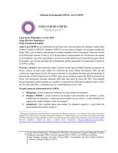 Informe Participación OPIAC en la COP20 Lima Perú, Diciembre 1