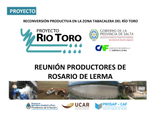 Presentación - Proyecto Rio Toro