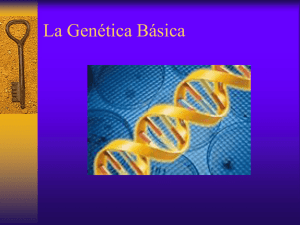 La Genética Básica