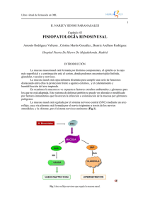 fisiopatología rinosinusal