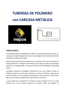 Tubos de MEPOS Expediente - HUB Energy Consulting SL