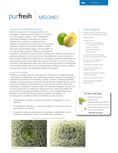 Melones - Purfresh