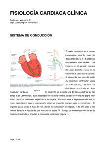 Fisiología CV .pages - Veterinaria Machado
