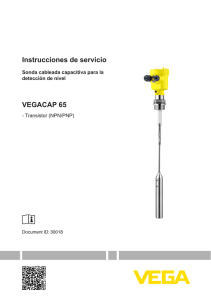 Instrucciones de servicio - VEGACAP 65 -