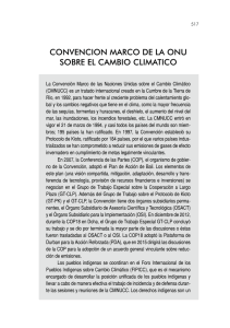 CONVENCION MARCO DE LA ONU SOBRE EL CAMBIO CLIMATICO
