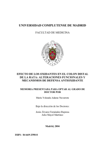 Biblioteca Complutense - Universidad Complutense de Madrid