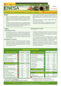 INFORME DE CONTRATACIÓN DEL SEGURO AGRARIO Nº 13