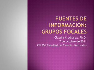 Fuentes de Información: Grupos Focales