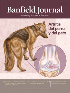 leer más - Banfield