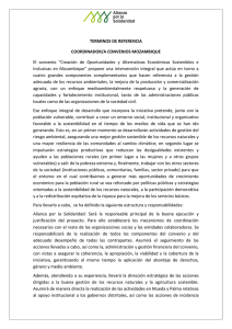 TERMINOS DE REFERENCIA COORDINADOR/A CONVENIOS