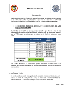 ANALISIS DEL SECTOR Introducción La Unidad Nacional de