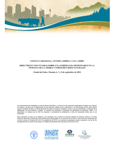 consulta regional: centro américa y el caribe directrices voluntarias