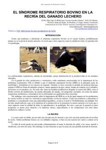 el síndrome respiratorio bovino en la recría del ganado lechero