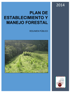 plan de establecimiento y manejo forestal - Inicio