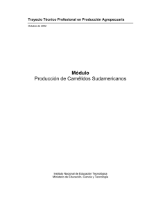 Producción de camélidos sudamericanos