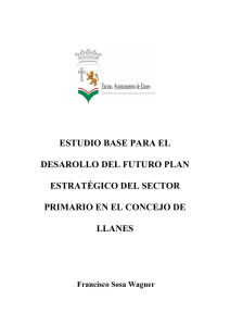 Estudio base para el desarrollo del futuro plan estrategico del sector