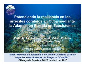 Potenciando la resiliencia en los arrecifes coralinos en Cuba