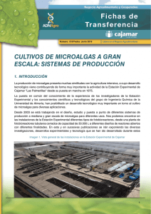 Cultivos de microalgas a gran escala: sistemas de producción (PDF