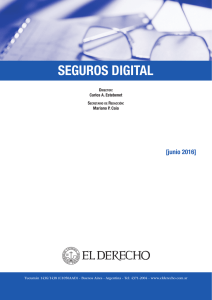 Diario de Seguros Digital, Director