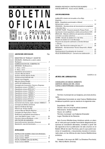 Descargar PDF - Diputación de Granada