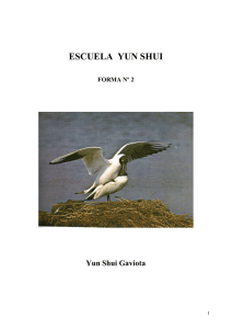 Yun Shui Gaviota en PDF - José Luis Paniagua Tébar