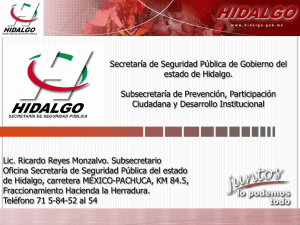 Hidalgo. Registro de Operaciones Mercantiles