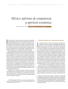 México: patrones de competencia y apertura económica