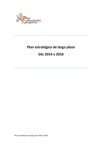 Plan estratégico de largo plazo SAL 2014 a 2018