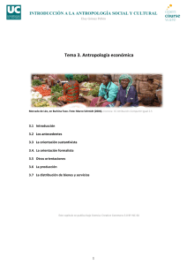 Tema 3. Antropología económica