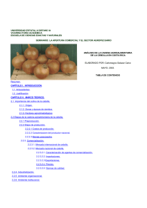 Análisis de la cadena agroalimentaria de cebolla en Costa Rica