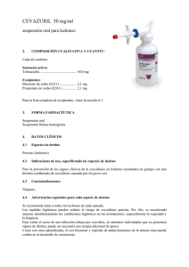 CEVAZURIL 50 mg/ml