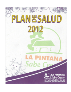 Plan de Salud 2012 - Municipalidad de la Pintana