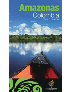 Descargar en PDF - Amazonas - Ministerio de Comercio, Industria y