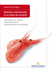Medición y alimentación en el cultivo de camarón