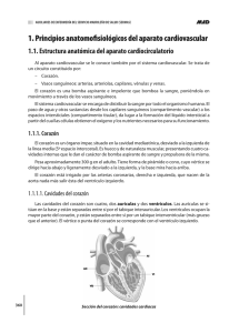 Principios anatomofisiológicos del aparato cardiovascular