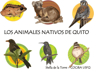 LOS ANIMALES NATIVOS DE QUITO