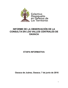 informe de la observación de la consulta en los valles centrales de