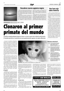 Clonaron al primer primate del mundo