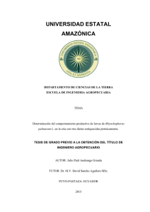 Ver - Universidad Estatal Amazónica