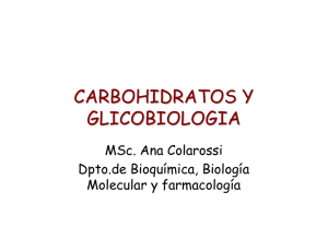 carbohidratos y glicobiologia