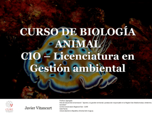 Diapositiva 1 - Eva - Universidad de la República