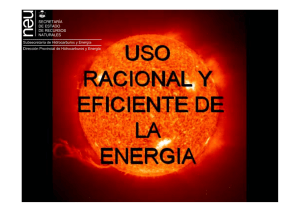 PROGRAMA DE USO EFICIENTE Y RACIONAL DE LA ENERGIA