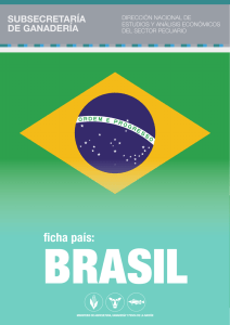 PA 020450-Ficha País Brasil
