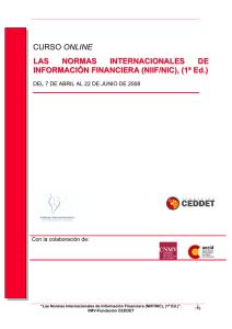Las Normas Internacionales de Información Financiera, NIIF/NIC
