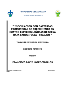 efecto de inoculacion con bacterias promotoras de desarrollo